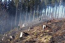 Jen během pondělního odpoledne vyjížděly jednotky požární ochrany na území Královéhradeckého kraje k sedmi případům požárů travního nebo lesního porostu.