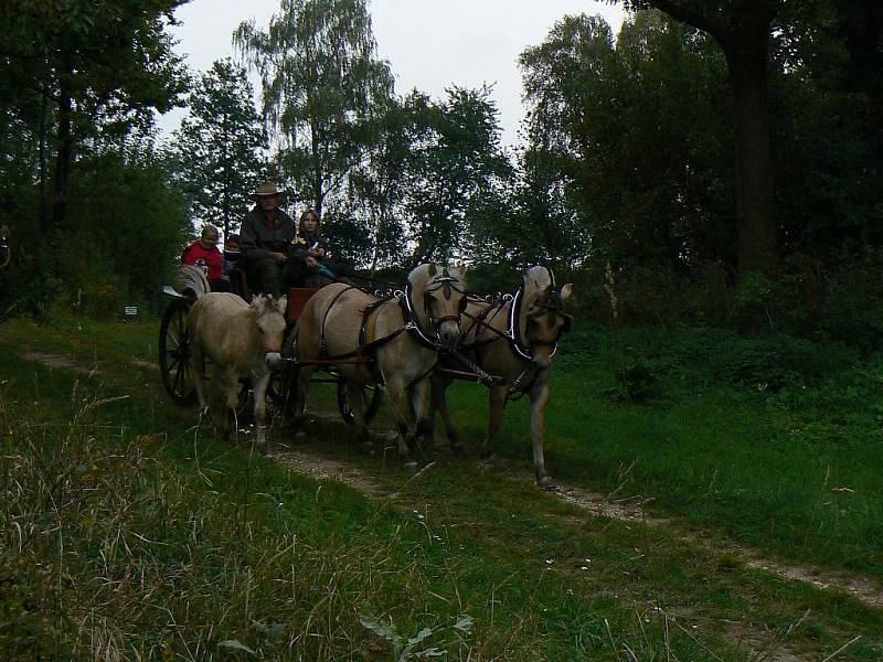 3. Hubertova jízda v Horních Černůtkách (sobota 25. září 2010).