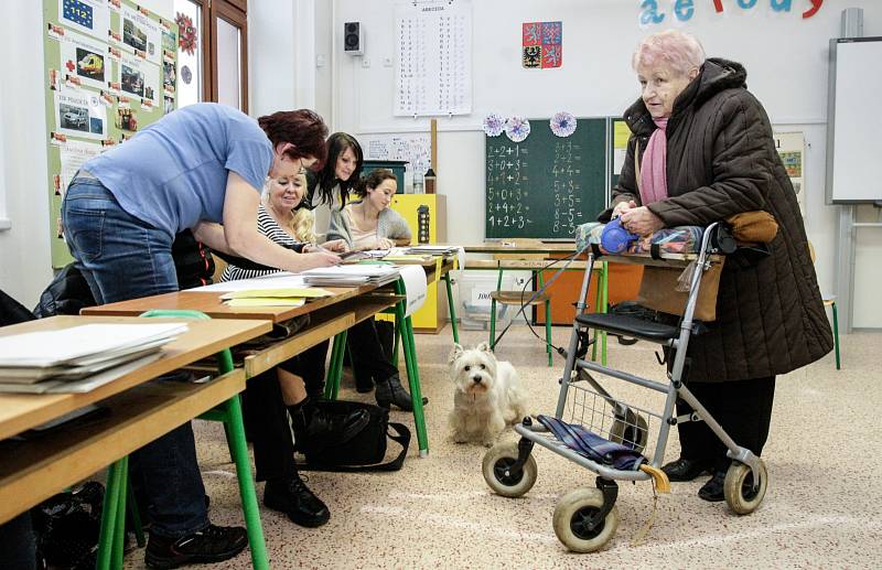 První kolo prezidenských voleb na ZŠ Bratranců Veverkových v Pardubicích.