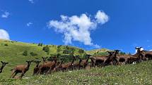 Itálie - Livigno