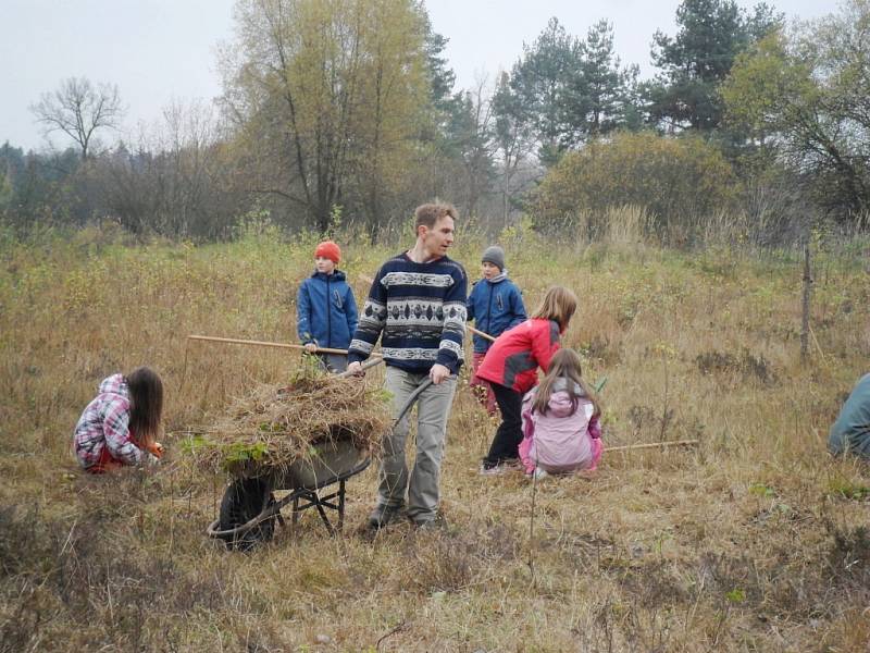 Úklidové práce v přírodní památce Plachta v Hradci Králové.