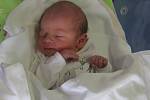 MICHAL CINK se narodil 1. prosince ve dvě hodiny ráno. Svými mírami 53 centimetrů a 3360 gramů rozradostnil maminku Petru a tatínka Michala z Hradce Králové.