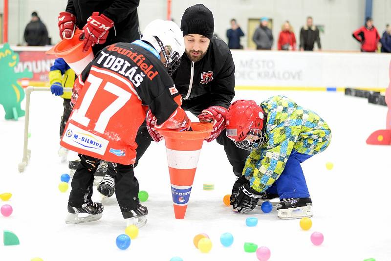 Akce Pojď hrát hokej v Hradci Králové za účasti hráčů extraligového týmu Mountfield HK Radka Smoleňáka a Bohumila Janka.