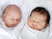 Gabriela a Adéla Demlovy se narodily 30. července ve 23 a 23.01 hodin. Gabriela měřila 48 centimetrů a vážila 2710 gramů. Adéla měřila 49 centimetrů a vážila 2810 gramů