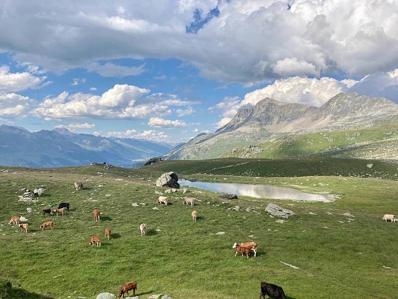 Itálie - Livigno