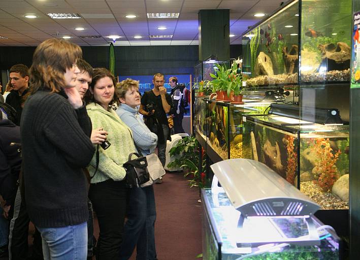 Výstava akvarijních ryb v Aldisu