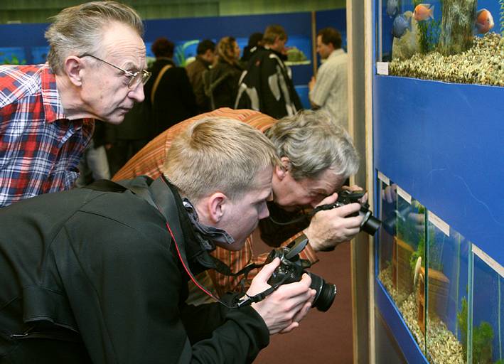 Výstava akvarijních ryb v Aldisu