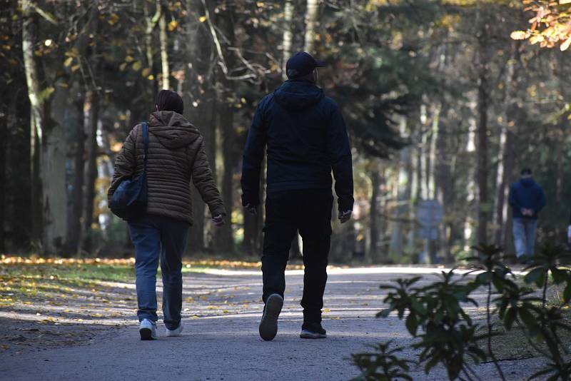 Zaplněná parkoviště a zmatky kolem hřbitovů, i to jsou Dušičky v Hradci Králové.