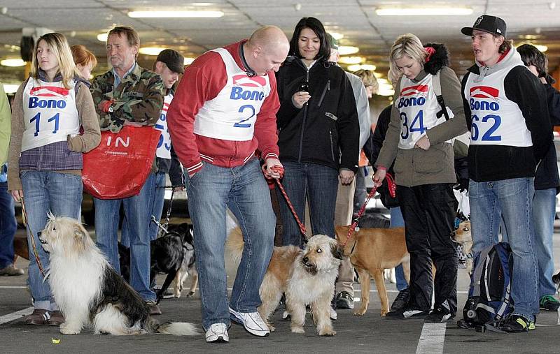 Voříškiáda v sobotu 10. dubna 2010 u hradeckého EuroCentra.