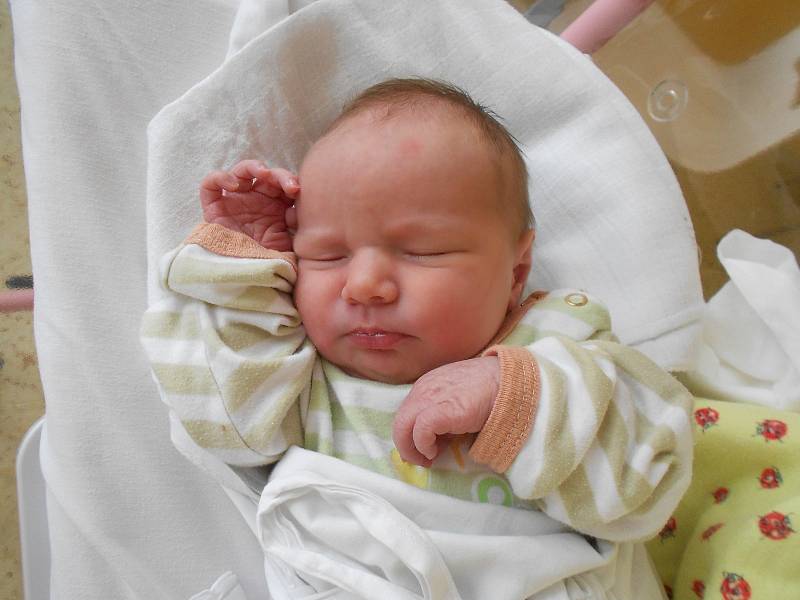 APOLENA MAZUROVÁ se narodila 28. sprna v 16.27 hodin. Měřila 49 cm a vážila 3300 g. Radost udělala svým rodičům Tereze a Tomáši ze Slatiny nad Zdobnicí. Doma se těší sourozenci Robin a Amálka.