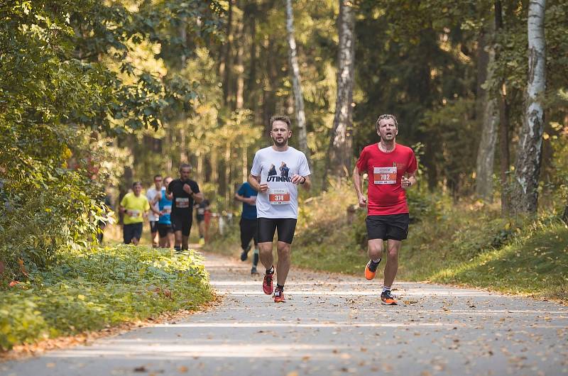 ZÁVODNÍCI všech věkových kategorií a úrovní se v neděli zúčastnili 9. ročníku Olfincar Hradeckého půl/maratonu.