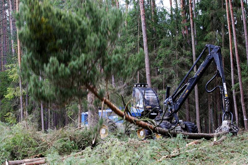 Během dubna se v Městských lesích Hradec Králové mohli lidé setkat s obřími harvestory při těžbě dřeva.