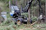 Během dubna se v Městských lesích Hradec Králové mohli lidé setkat s obřími harvestory při těžbě dřeva.