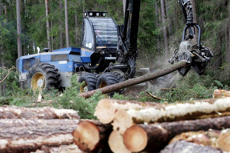 Během dubna se v Městských lesích Hradec Králové mohli lidé setkat s obřími harvestory při těžbě dřeva.