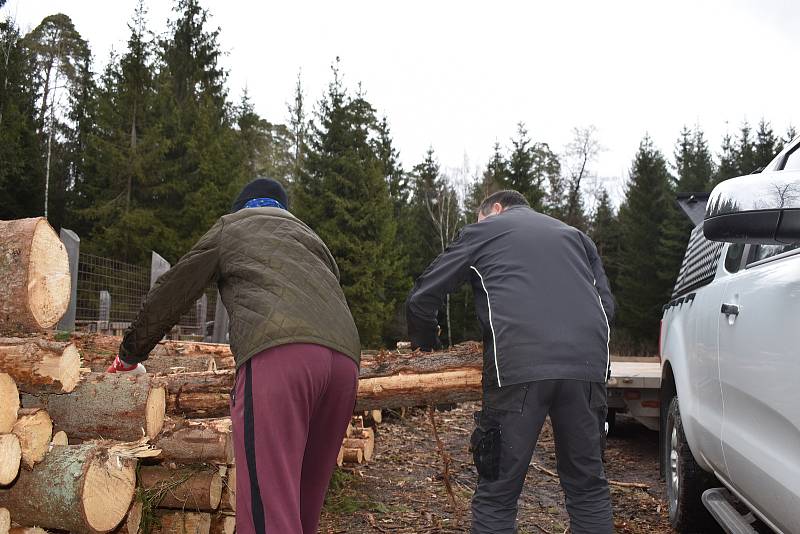 Češi se vrací k topení dřevem. Zájem o ně roste a samotné dřevo zdražuje. Například v Městských lesích Hradec Králové.