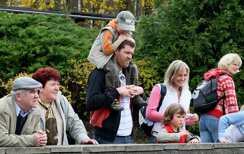 Zoo ve Dvoře Králové nad Labem