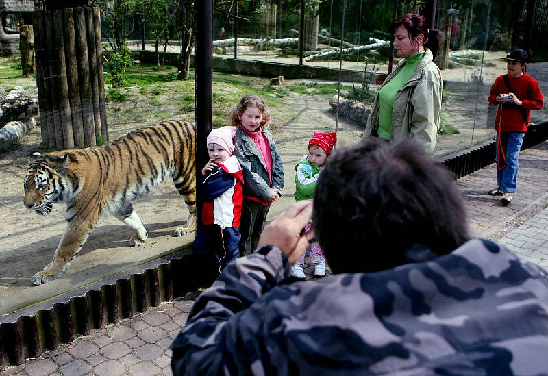 Zoo ve Dvoře Králové nad Labem