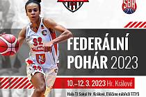 Finálový turnaj Federálního poháru proběhne od pátku do neděle v Hradci Králové.