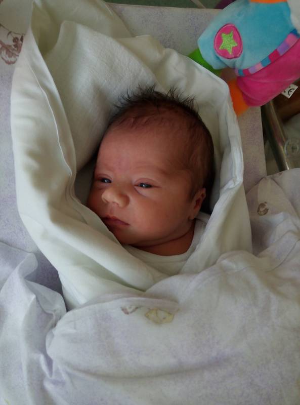 PAVEL URBAN  se narodil 26. září v 10.16 hodin. Měřil 50 centimetrů a vážil 3420 gramů. Radost z něj mají rodiče Andrea a Pavel Urbanovi z Hradce Králové.