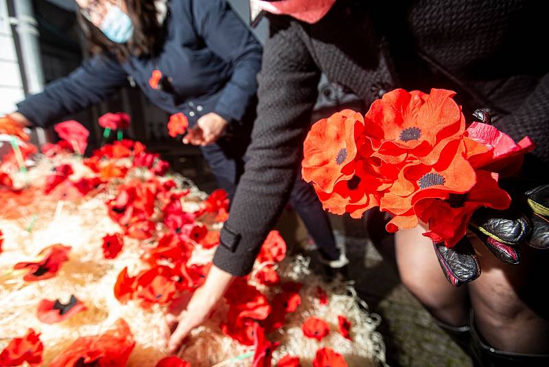 Paměť národa zasadila symbolické máky na Baťkově náměstí v Hradci Králové