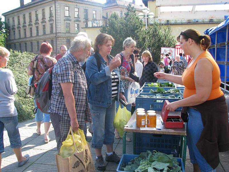 Farmářské trhy v Hradci Králové, sobota 11. června.