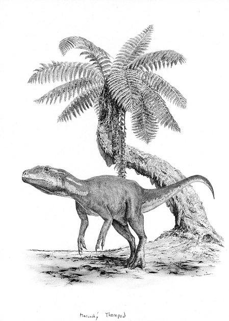 Podoba moravského teropoda. Ilustrace: Vladimír Rimbala