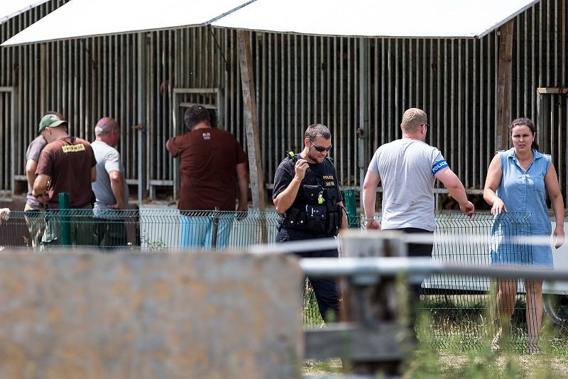 Ve Štítu na Královéhradecku došlo k útěku Tří šelem z klece v Bioparku Štít.