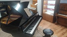 Více než půldruhého století vyrábí společnost Petrof hudební nástroje na stejném místě v Hradci Králové. Světoznámé klavíry putují za zákazníky z továrny v Brněnské ulici na okraji města, a přesto v sousedství největšího sídliště v kraji od roku 1874. Prá