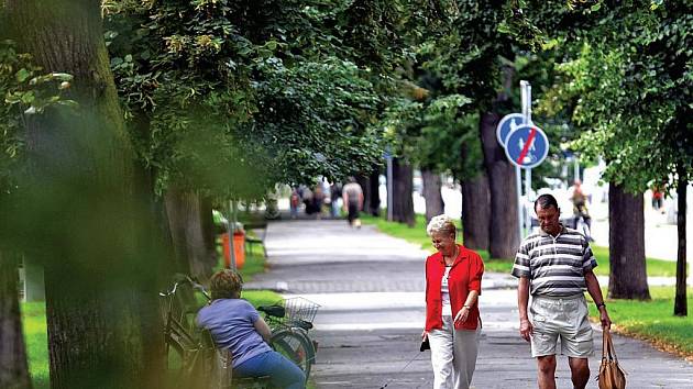 Stromořadí a středový chodník v královéhradecké ulici V Lipkách čeká proměna. Chodník dostane nový povrch a bude sloužit i cyklistům, většinu starých stromů nahradí mladé lípy. 