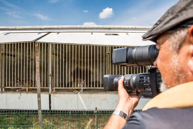 Útěk zvířat ze štítského Bioparku.