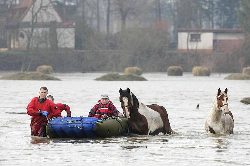 Voda zaplavila louku v Blešně, hasiči zachránili osm koní.