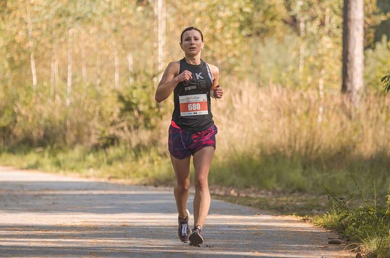 ZÁVODNÍCI všech věkových kategorií a úrovní se v neděli zúčastnili 9. ročníku Olfincar Hradeckého půl/maratonu.