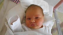 ELIŠKA HROCHOVÁ se narodila 26. srpna v 16.59 hodin. Měřila 46 cm a vážila 3310 g. Velkou radost udělala rodičům Kláře Slámové a Zdeňku Hrochovi z Bolehošťské Lhoty.