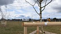Ve festivalovém parku na hradeckém letišti nechali pořadatelé vysázet 120 kusů dřevin. Zazelenat se mají už letos.