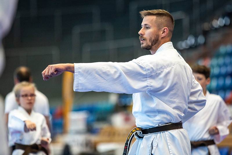 Mistrovství světa v karate v Hradci Králové.