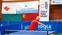 Mezinárodní turnaj tělesně postižených sportovců ve stolním tenisu v Hradci Králové.