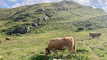 Itálie - Livigno