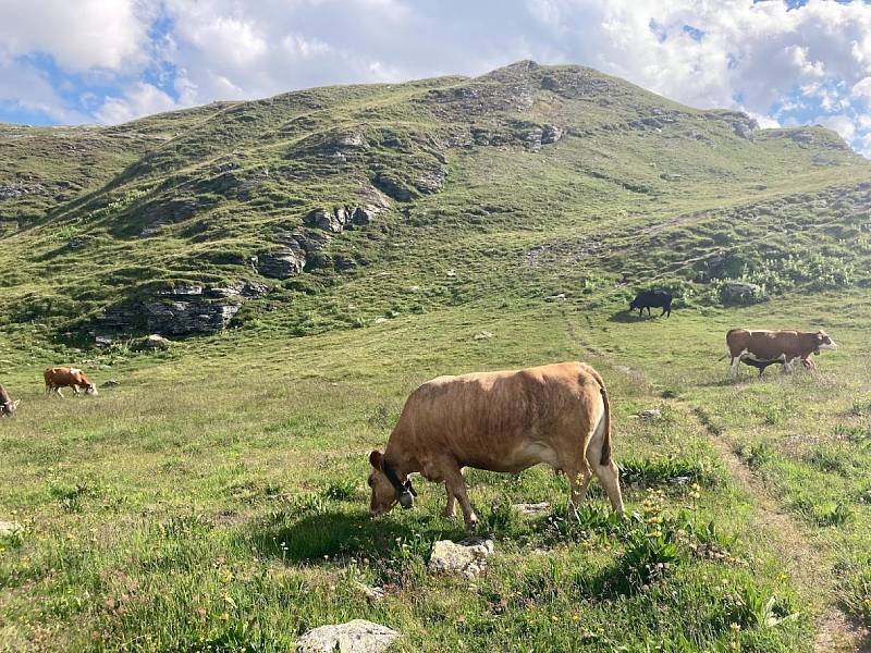 Itálie - Livigno