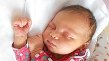 SARAH JACKULÁK se narodila 15. ledna v 17.05 hodin. Měřila 51 cm a vážila 4040 g. Velice potěšila své rodiče Janu Ráčkovou a Štefana Jackuláka z Rokytnice v Orlických Horách. Tatínek to u porodu zvládl výborně, byl velikou oporou, ale kdo ví, jak to vidí 