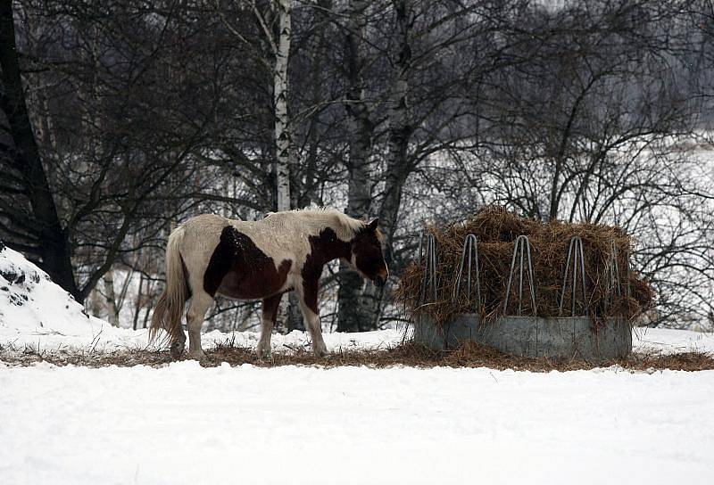 Sněhová kalamita v Hradci Králové, sobota 9. ledna 2010.