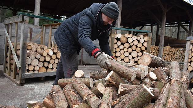 Češi se vrací k topení dřevem. Zájem o ně roste a samotné dřevo zdražuje. Například v Městských lesích Hradec Králové.