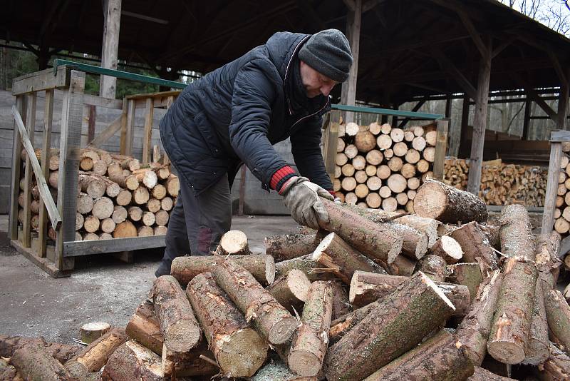 Češi se vrací k topení dřevem. Zájem o ně roste a samotné dřevo zdražuje. Například v Městských lesích Hradec Králové.