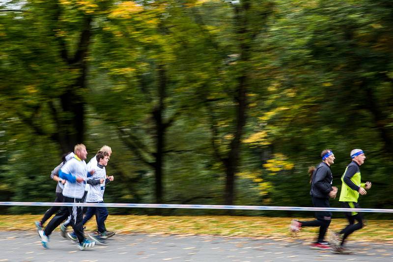 Hradecký půlmaraton.