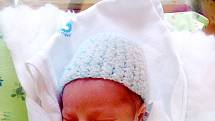 TOBIÁŠ HORÁČEK se narodil 23. února ve 12.58 hodin. Vážil 2990 gramů a měřil 50 cm. Velkou radost udělal rodičům Andree a Michalovi Horáčkovým. Doma se na něj těší bratr Kryštůfek (23 měsíců).