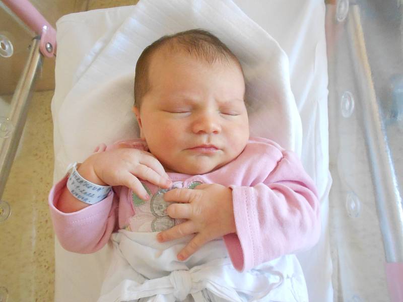 ANNA HORÁKOVÁ se narodila 7. ledna v 11.13 hodin. Měřila 52 cm a vážila 4360 g. Velikou radost udělala svým rodičům Ivě a Janu Horákovým ze Spáleniště. Doma se těší bráška Jeníček.