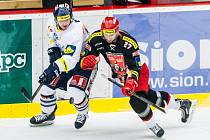Tipsport extraliga ledního hokeje: Mountfield HK - Bílí Tygři Liberec.