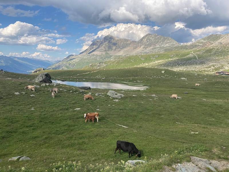 Itálie - Livigno