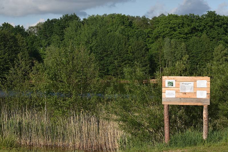 Laguna už slouží hlavně rybářům. Koupat se tady mohou jen obyvatelé Bělče nad Orlicí.