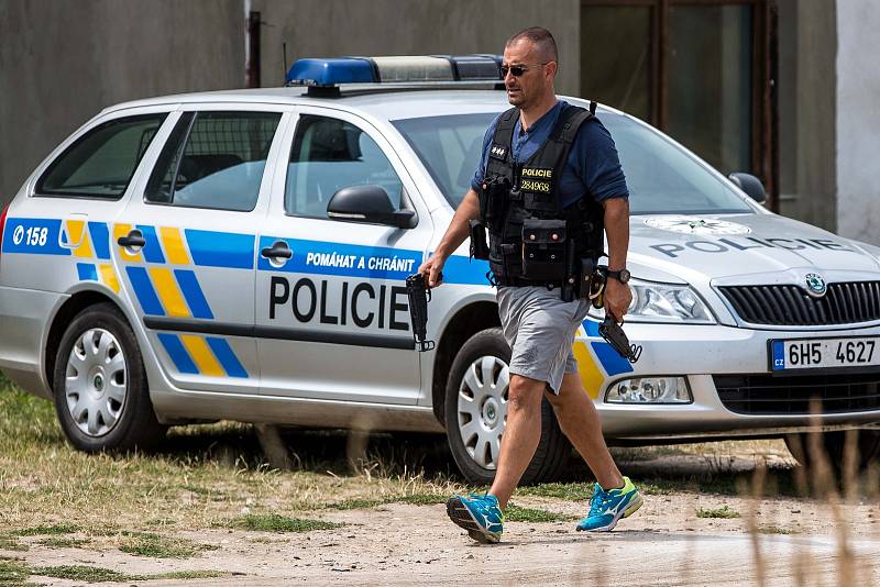 Ve Štítu na Královéhradecku došlo k útěku Tří šelem z klece v Bioparku Štít.