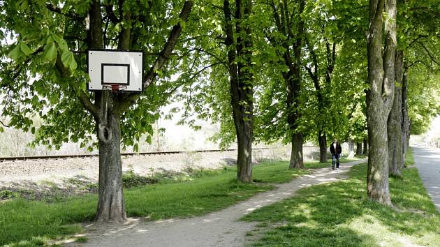 Kaštanka v Hradci Králové podél železniční trati do Pardubic.